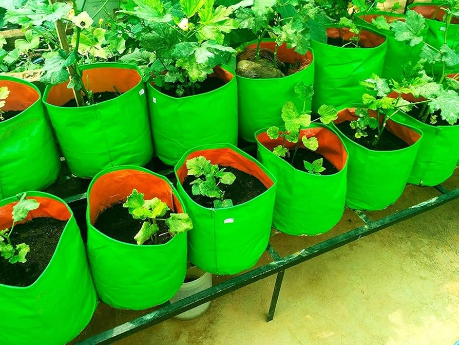 Grow Bags - Image 3