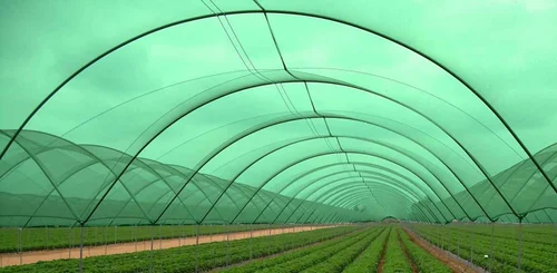 Agro Shed - Image 3