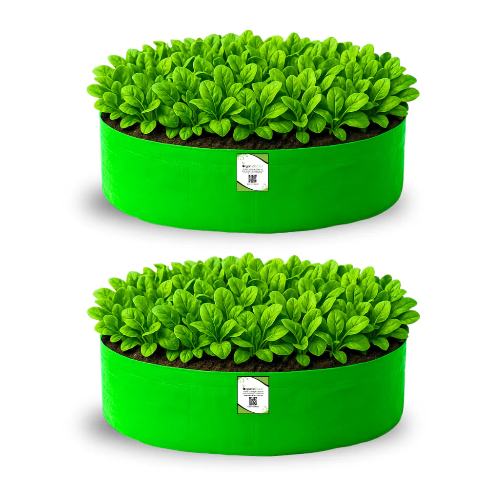 Grow Bags