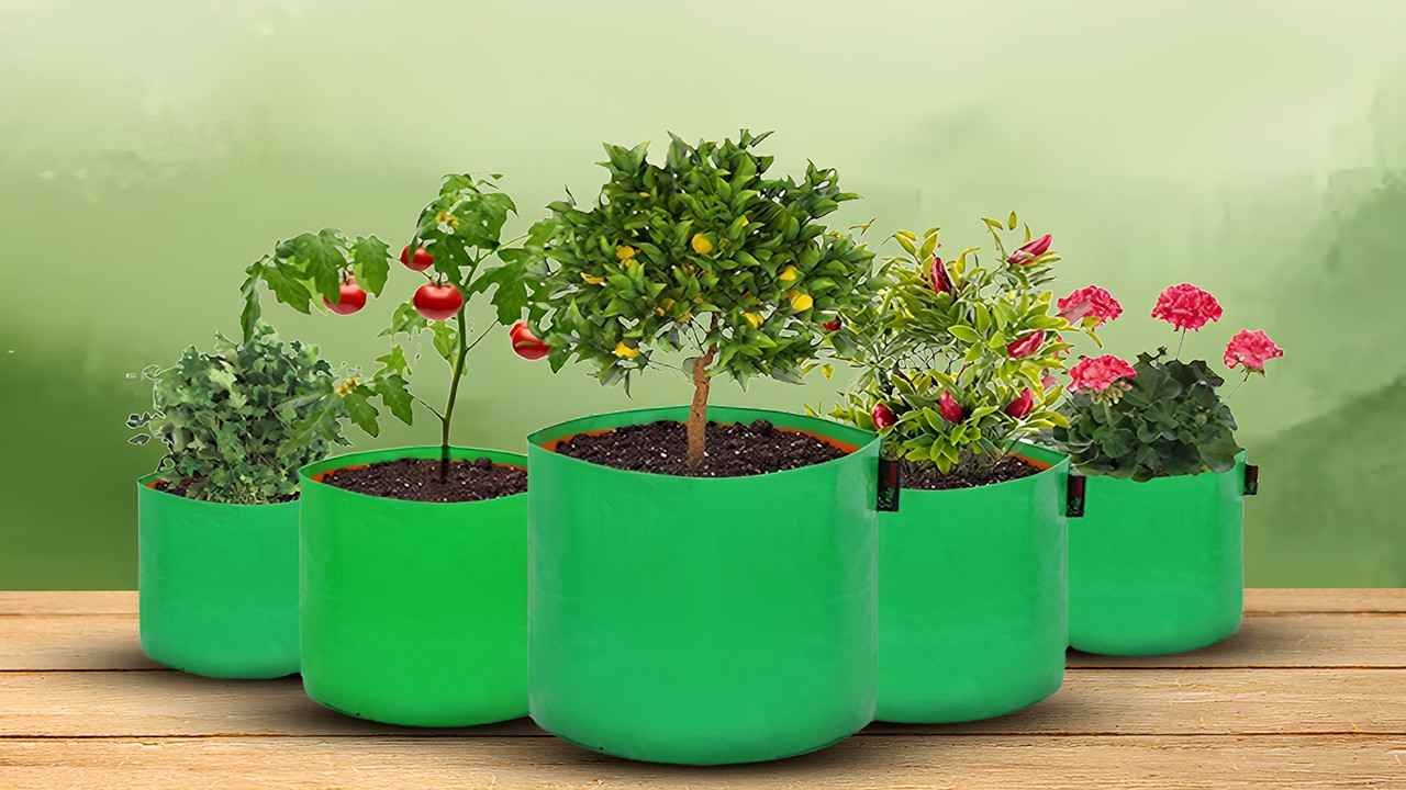 Grow Bags - Image 2